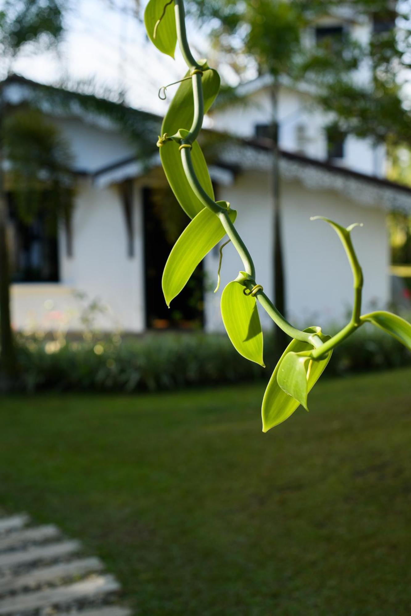 Roots Retreat Hotel Unawatuna Luaran gambar